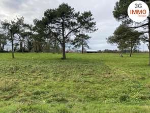 Vente Terrain 796 m&sup2;Grand-Champ