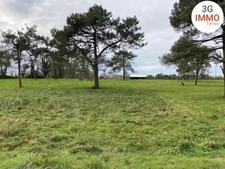 Vente de terrain