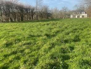 Vente Terrain 1323 m&sup2;Grand-Champ