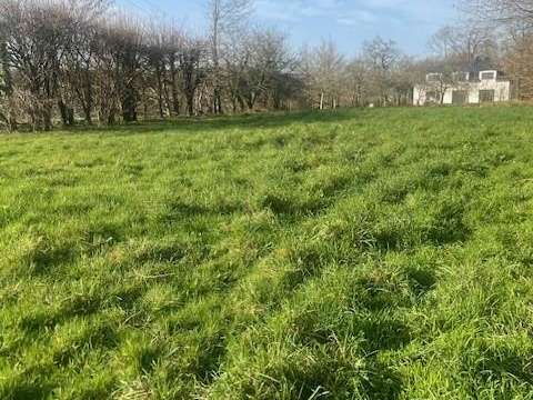Vente de terrain Grand-Champ 56
