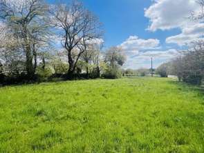 Vente Terrain 1323 m&sup2;Grand-Champ