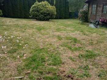 Vente de terrain