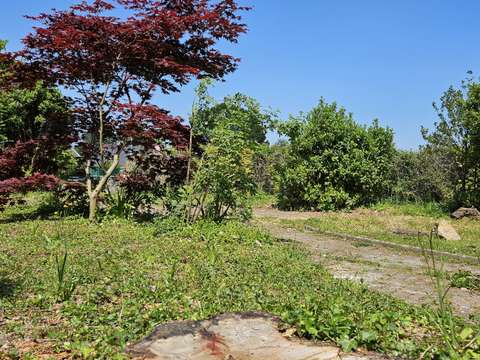 Vente de terrain Grandchamps-des-Fontaines 44