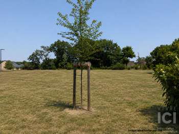 Vente Terrain 420 m&sup2;Grandchamps-des-Fontaines