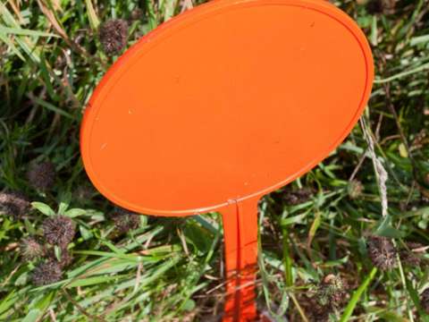 Vente de terrain Grandchamps-des-Fontaines 44