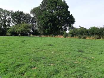 Vente de terrain Granville 50