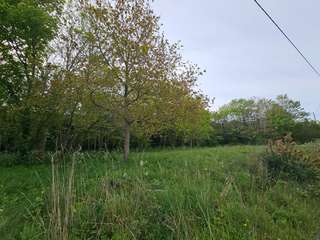 Vente de terrain