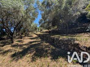 Vente Terrain 1049 m&sup2;Grasse