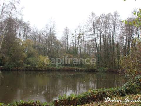 Vente de terrain