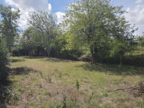 Vente de terrain Grez-en-Bouère 53