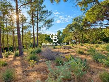 Vente Terrain 1803 m&sup2;Grimaud