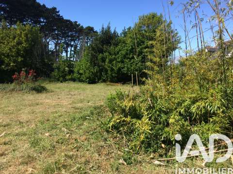 Vente de terrain