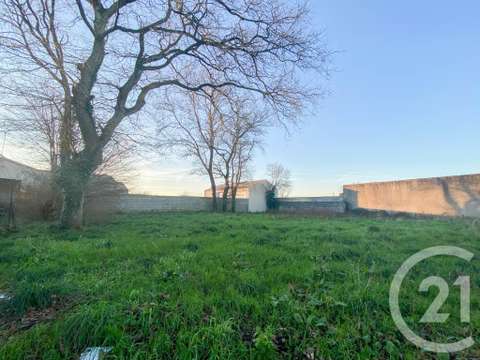 Vente de terrain Grosbreuil 85