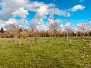 Vente Terrain 5720 m&sup2;Grosbreuil