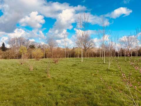 Vente de terrain Grosbreuil 85