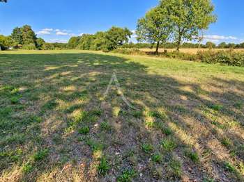 Vente Terrain 986 m&sup2;Grosbreuil