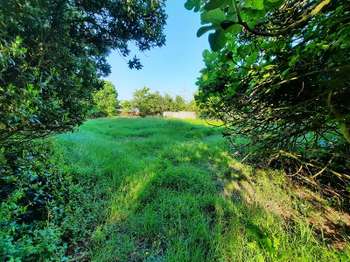 Vente de terrain