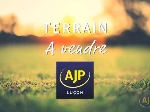 Vente de terrain Grues 85