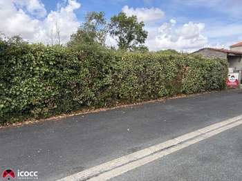 Vente Terrain 847 m&sup2;Grues