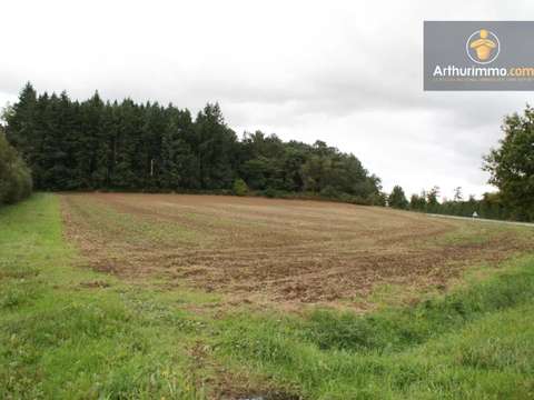 Vente de terrain Guégon 56