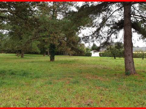 Vente de terrain