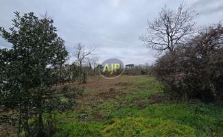 Photo Vente de terrain Guémené-Penfao