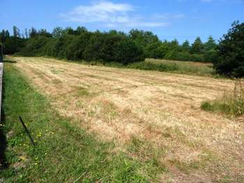 Vente de terrain