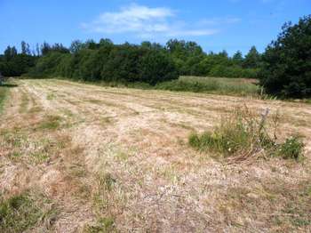 Vente de terrain