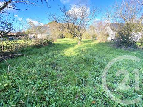 Vente de terrain Guenrouet 44