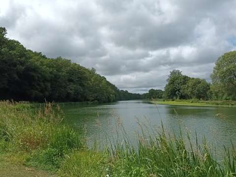 Vente de terrain Guenrouet 44