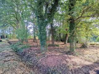 Vente de terrain