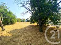 Vente de terrain