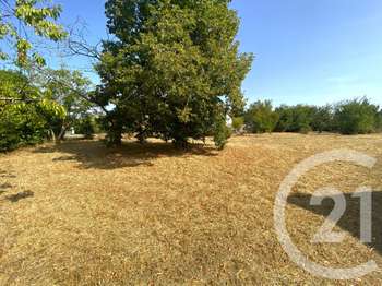 Vente de terrain