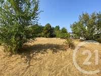 Vente de terrain