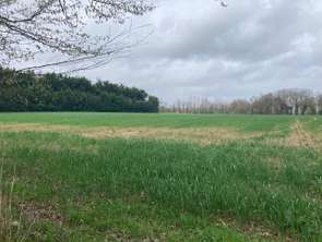 Vente Terrain 7000 m&sup2;Guer
