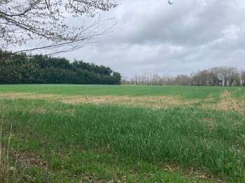 Vente de terrain Guer 56