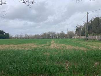 Vente de terrain