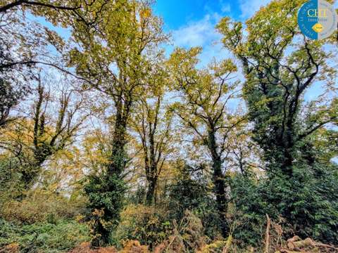 Vente de terrain Guer 56