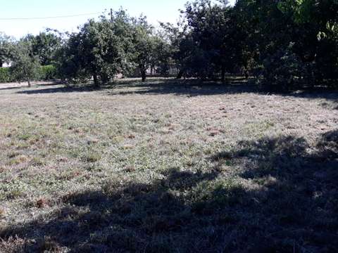 Vente de terrain