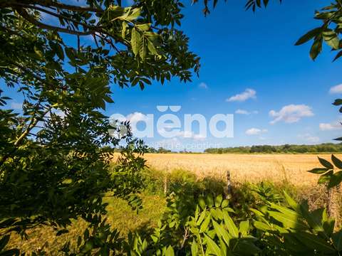 Vente de terrain