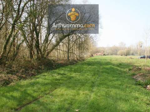 Vente de terrain