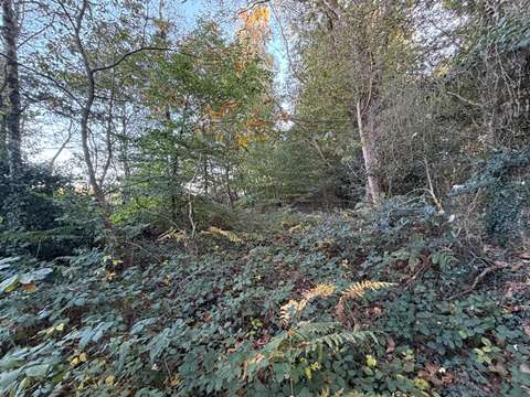Vente de terrain
