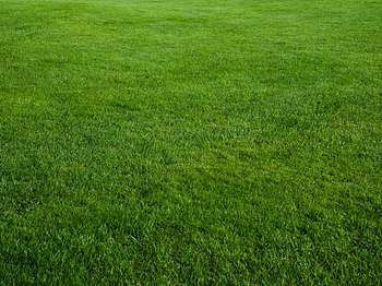 Vente Terrain 376 m&sup2;Guilvinec