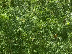 Vente Terrain 6255 m&sup2;Guingamp