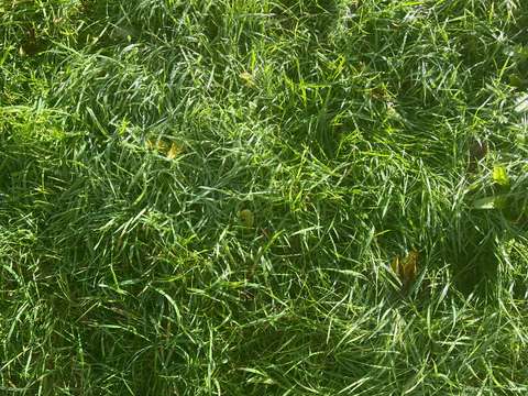 Vente de terrain Guingamp 22