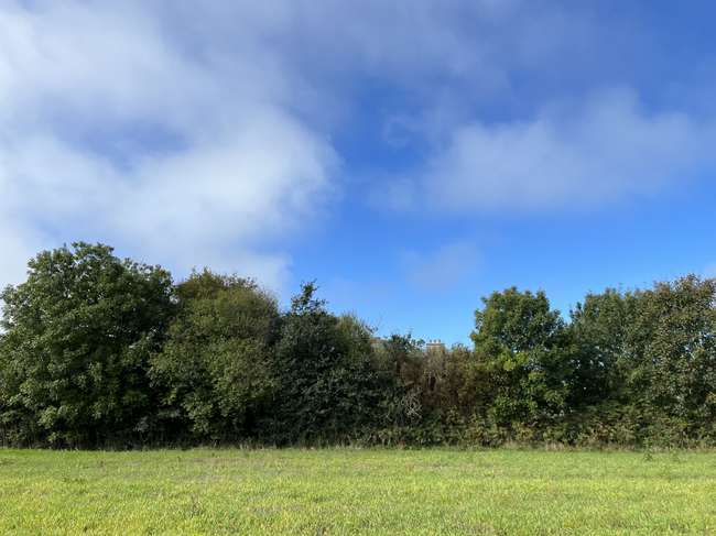 Terrain 650 m² · à Guipavas · 650 m² · 162 000 €