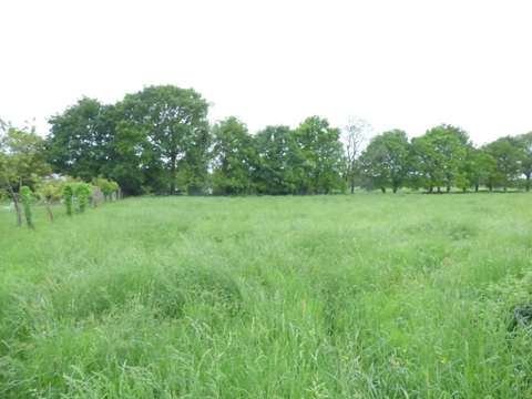 Vente de terrain Guipry 35