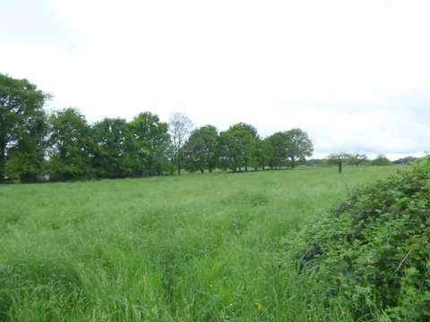 Vente de terrain