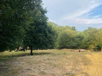 Vente Terrain 8610 m&sup2;Guipry-Messac