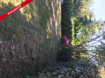 Vente de terrain